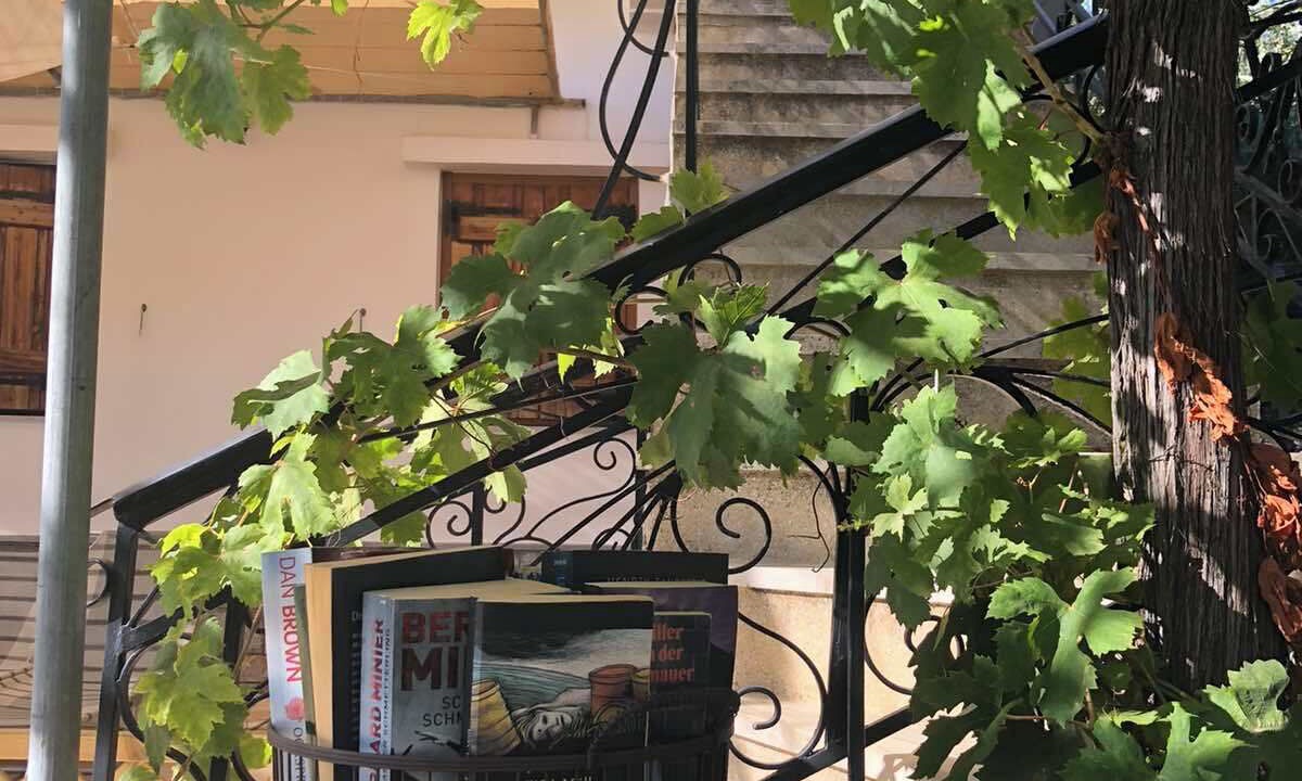 Photo of Outdoor in Kounelion