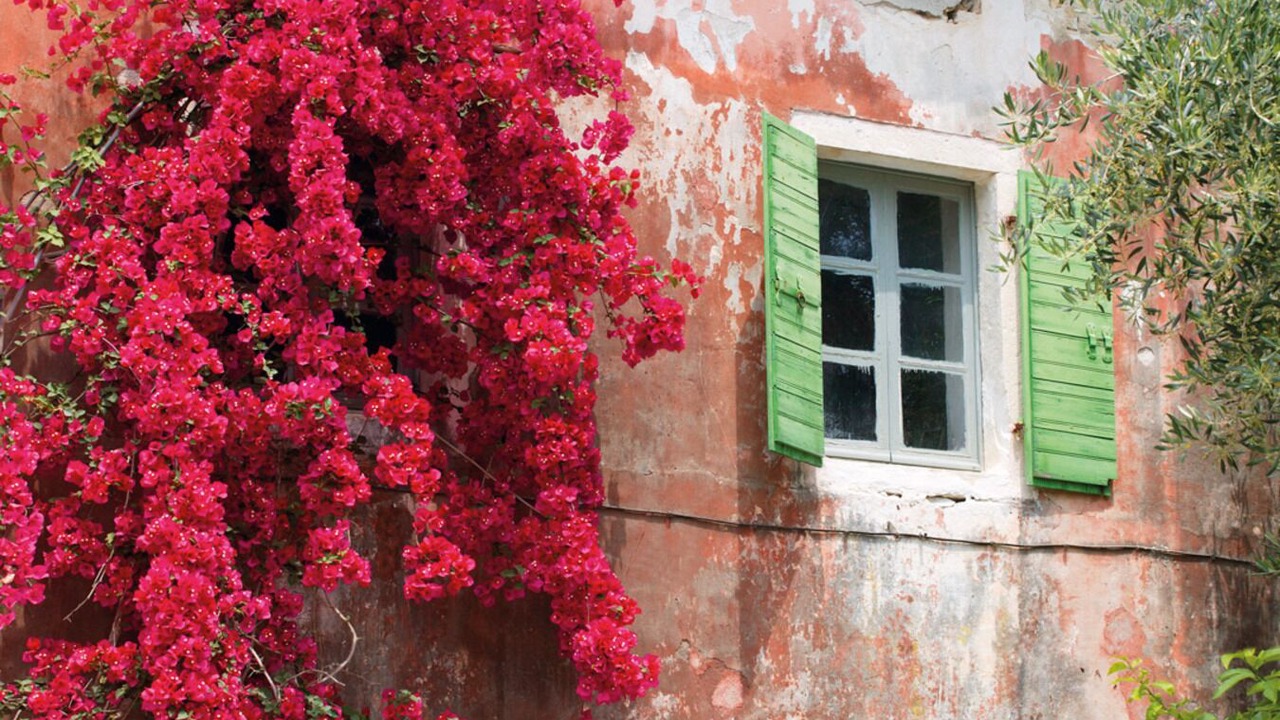 Photo of Outdoor in Gaios