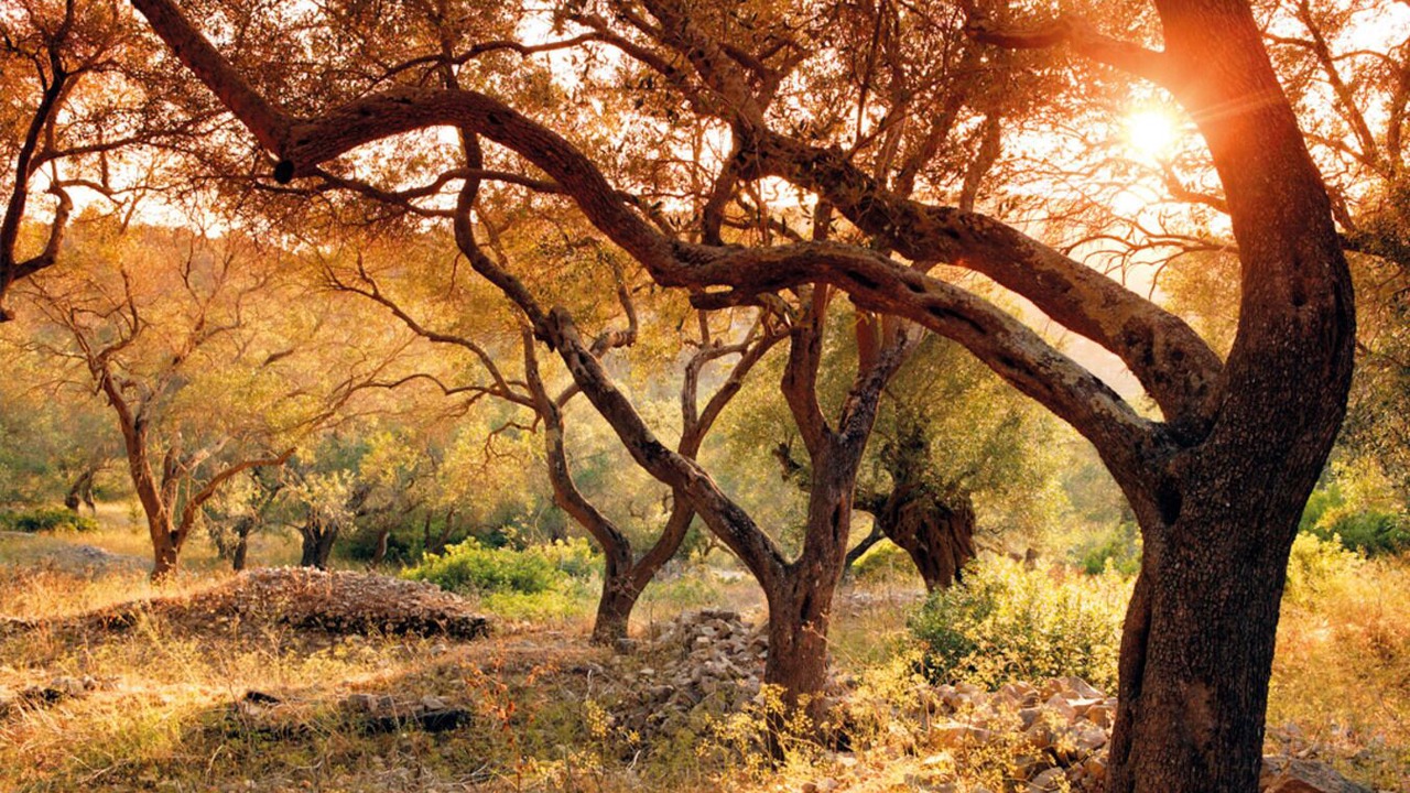 Photo of Outdoor in Gaios