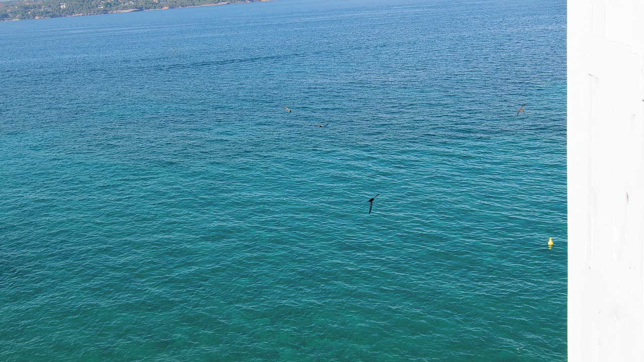 Photo of Others in Spetses