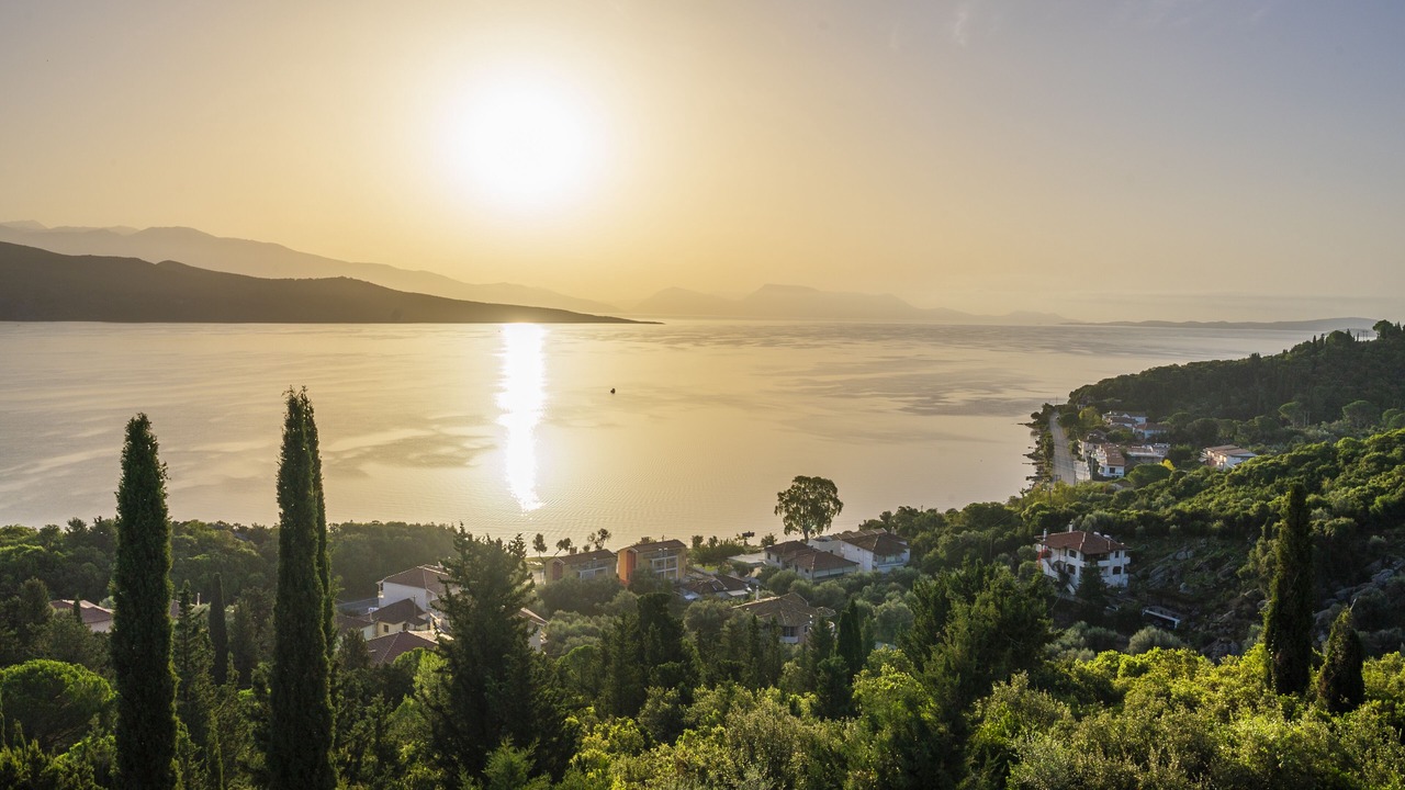 Photo of Others in Lygia