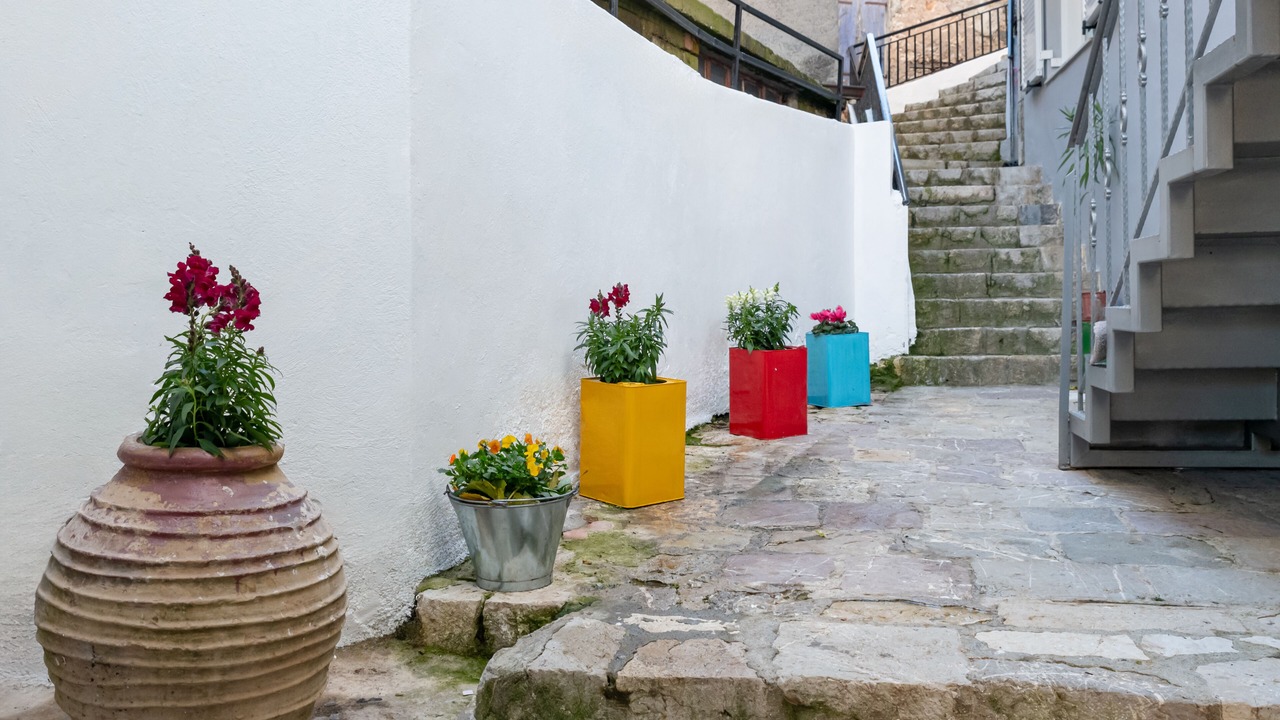 Photo of Outdoor in Dimitsana