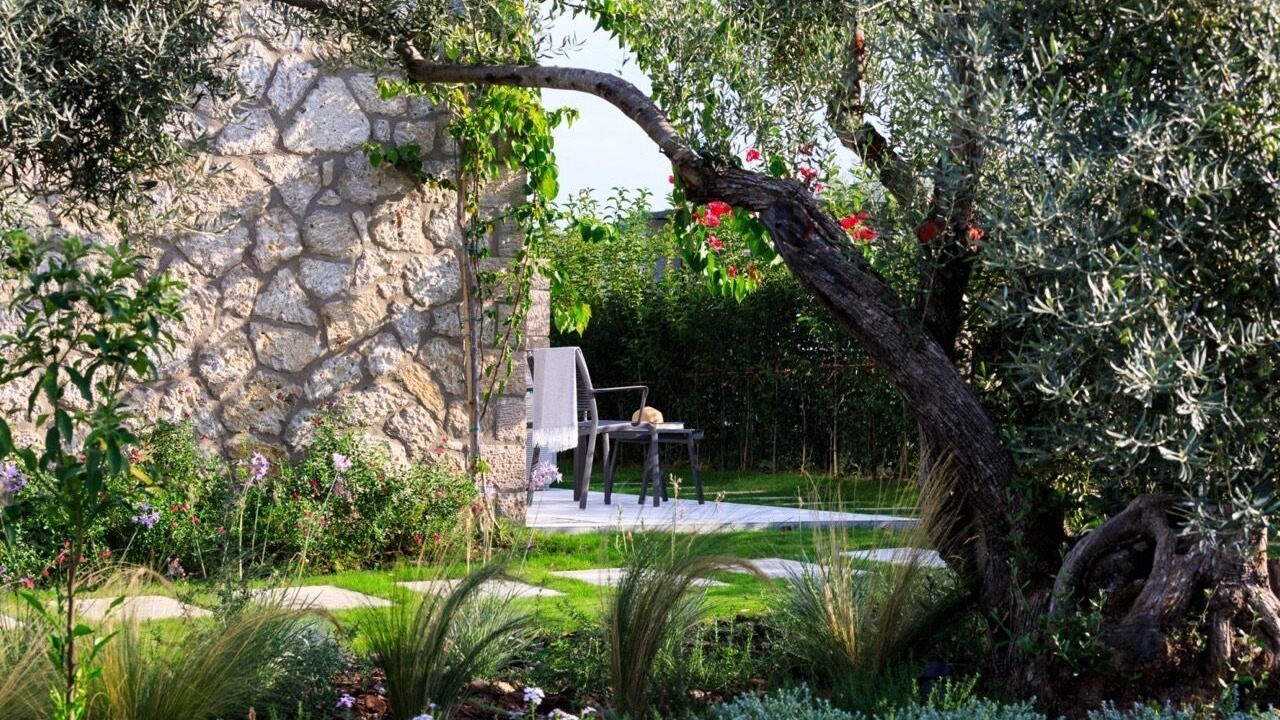 Photo of Outdoor in Lygia