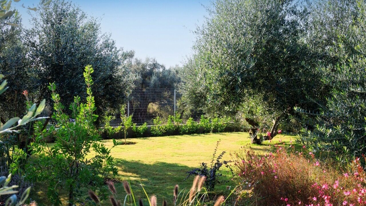 Photo of Outdoor in Lygia