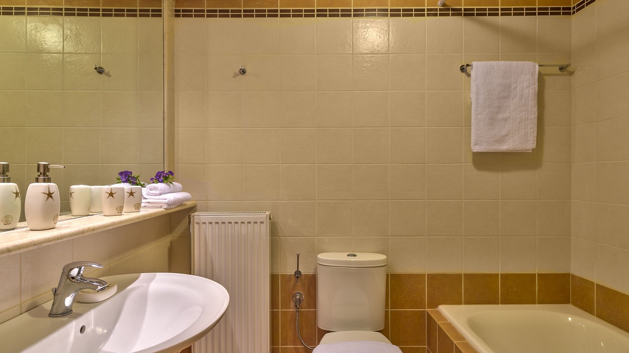 Photo of Bathroom in Agia