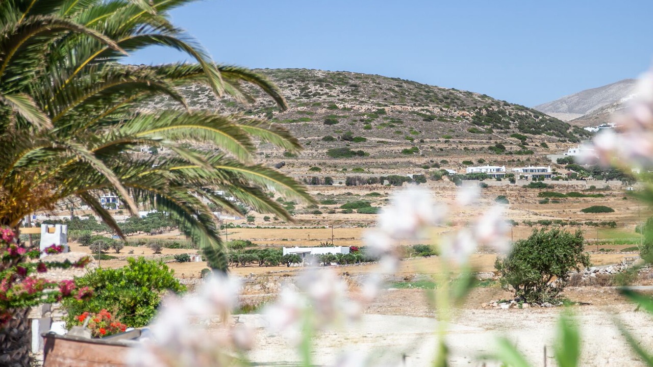 Photo of Outdoor in Nea Cryssi Akti