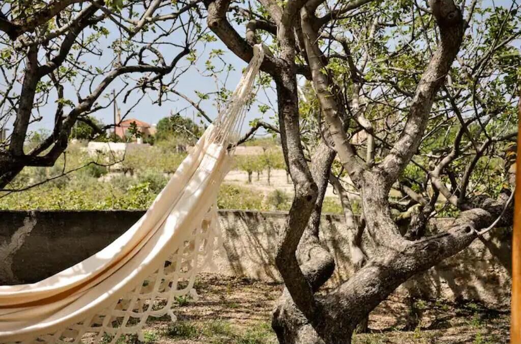 Photo of Outdoor in Nisi
