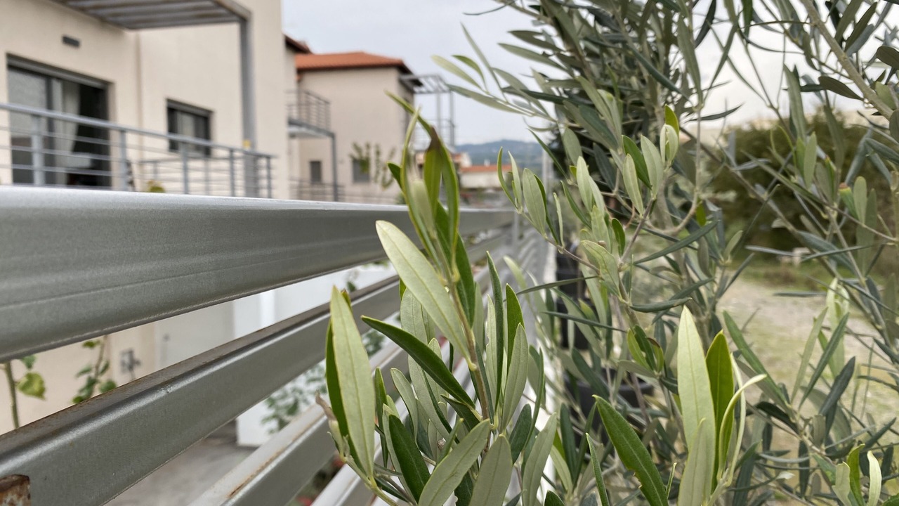 Photo of Outdoor in Corinthia Region