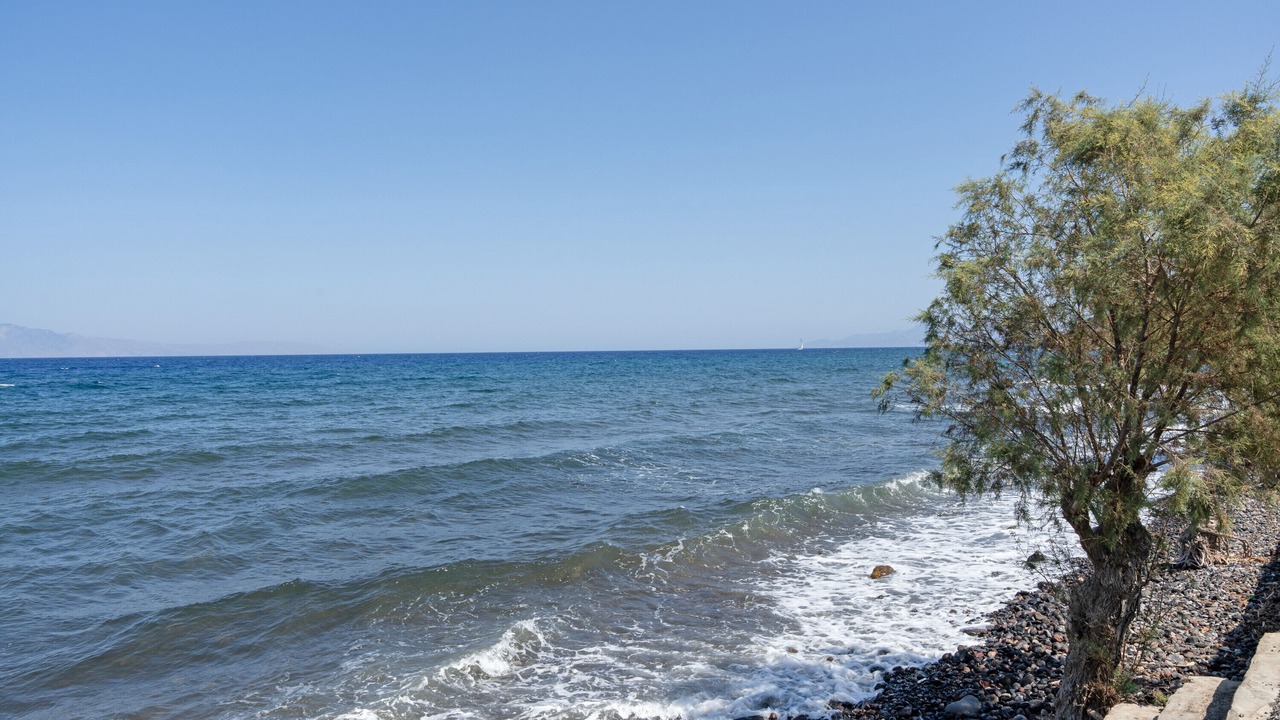 Photo of Others in Paloi