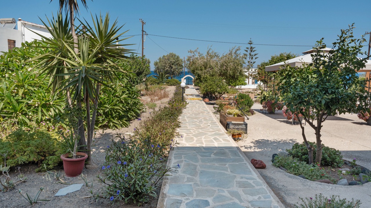 Photo of Outdoor in Paloi