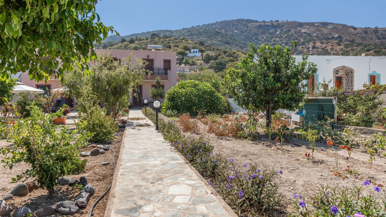 Photo of Outdoor in Paloi