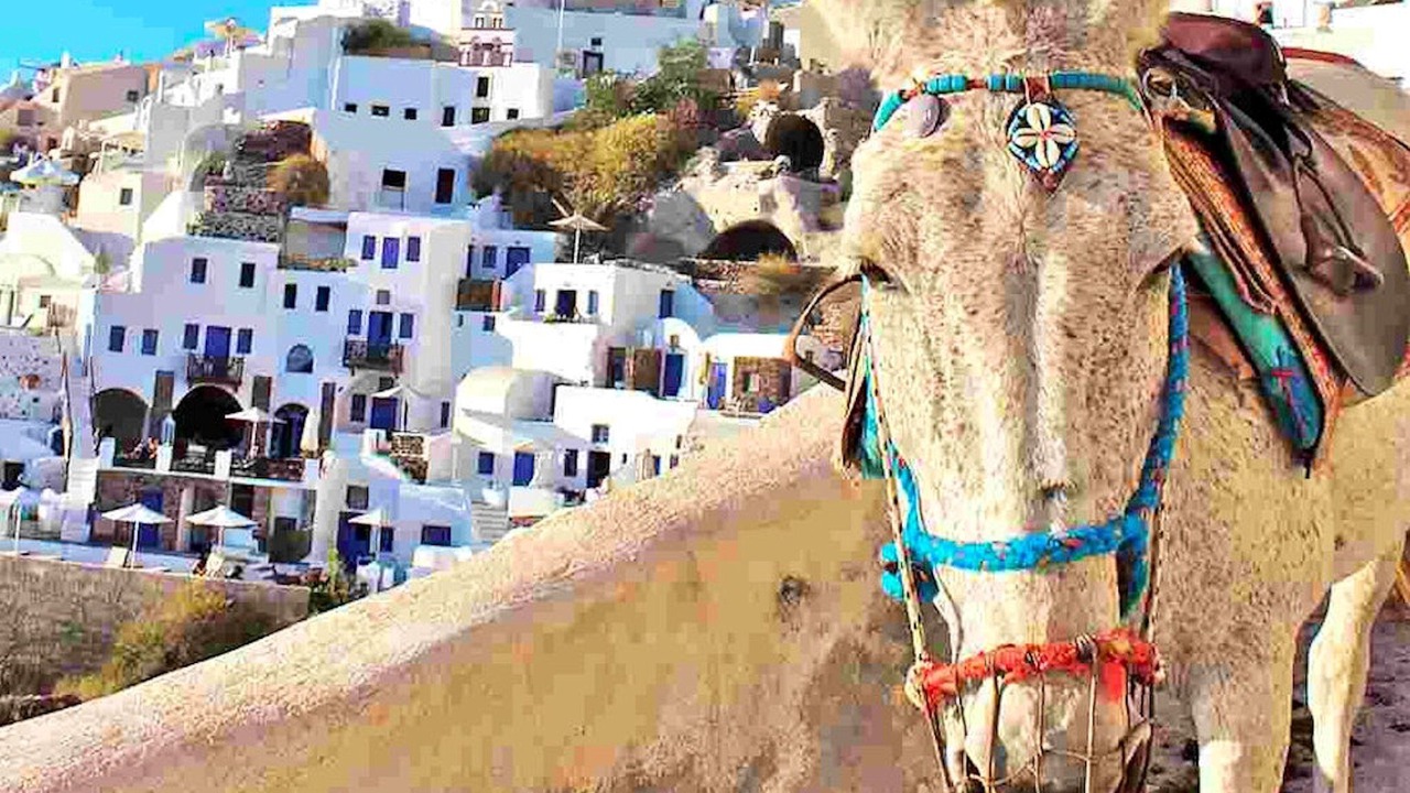 Photo of Others in Elounda