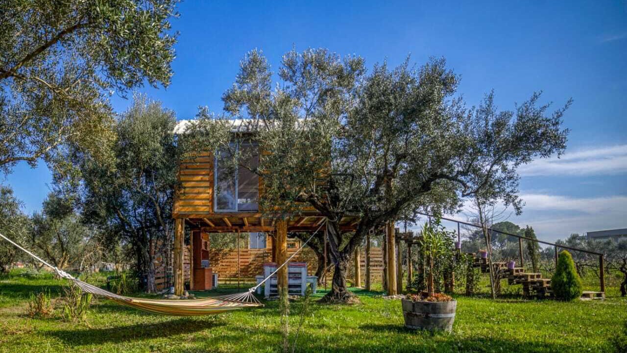 Photo of Outdoor in Vanato