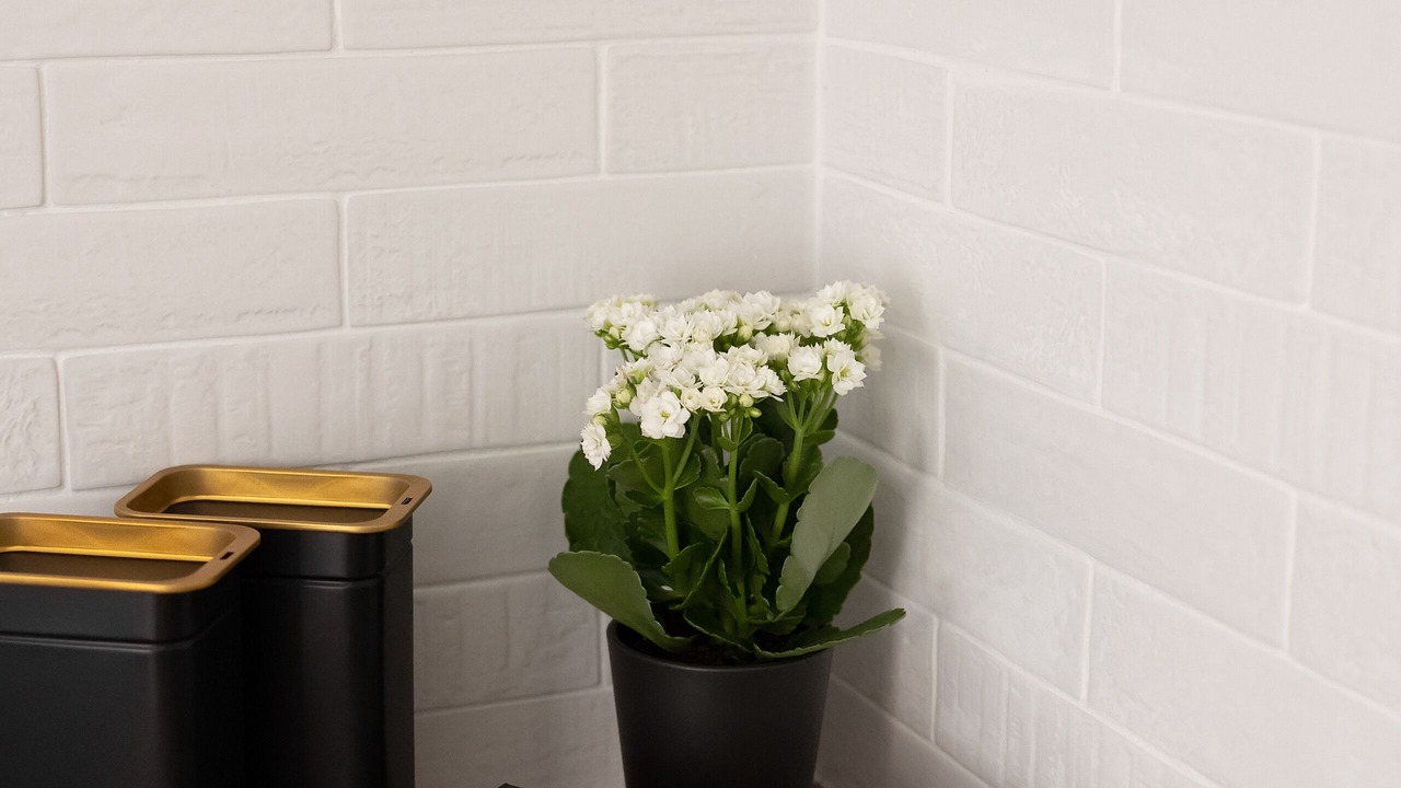 Photo of Bathroom in Aigaleo