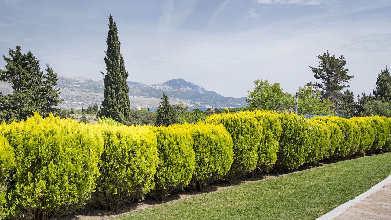 Photo of Outdoor in Kalata