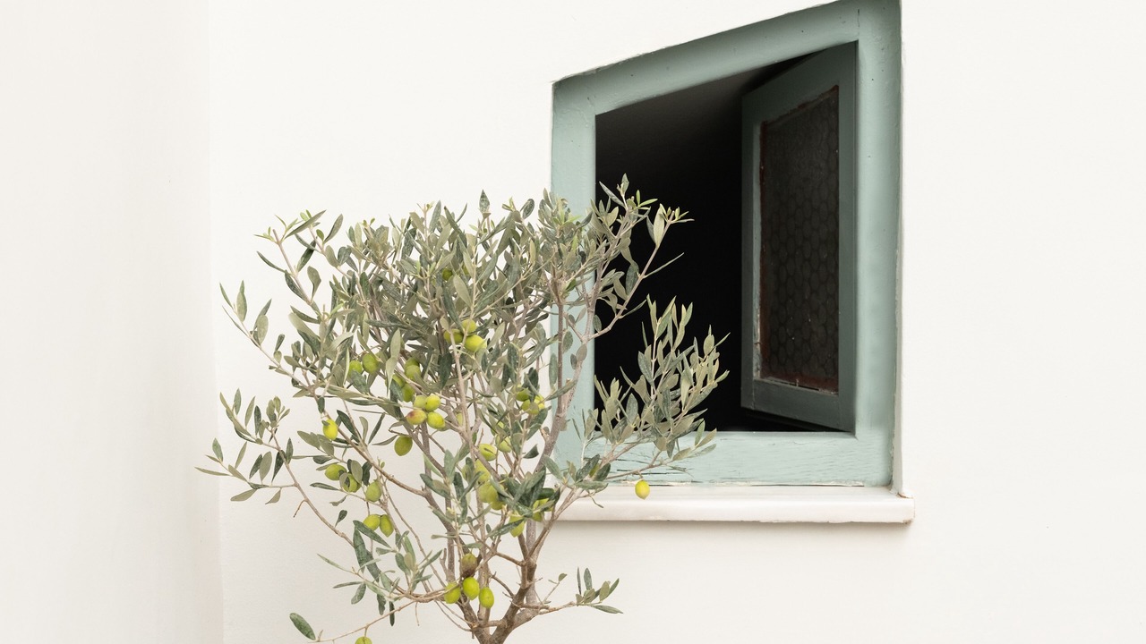 Photo of Outdoor in Moschato-Tavros