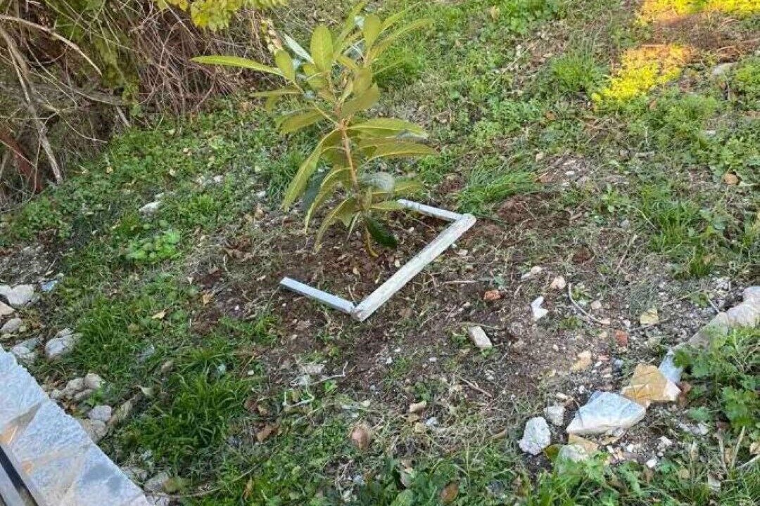 Photo of Outdoor in Kalambaka