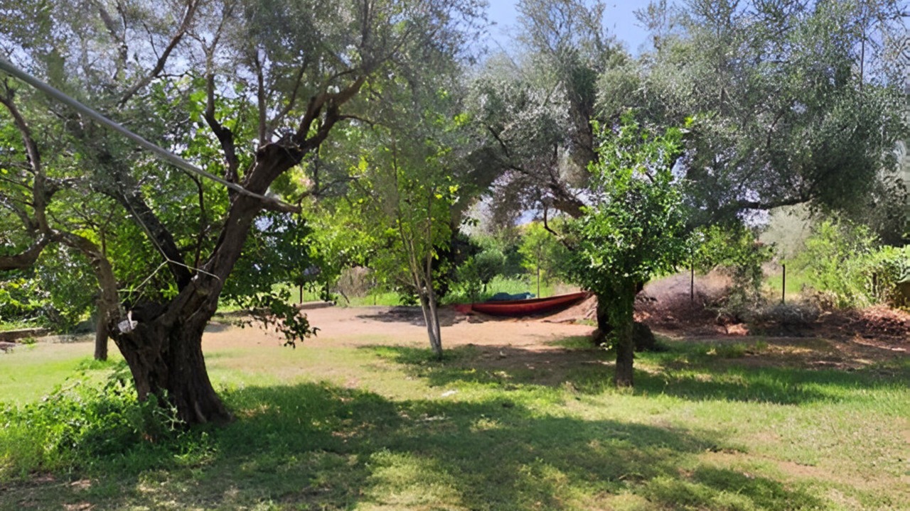 Photo of Outdoor in Marathias
