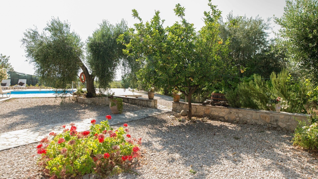 Photo of Outdoor in Petaleia