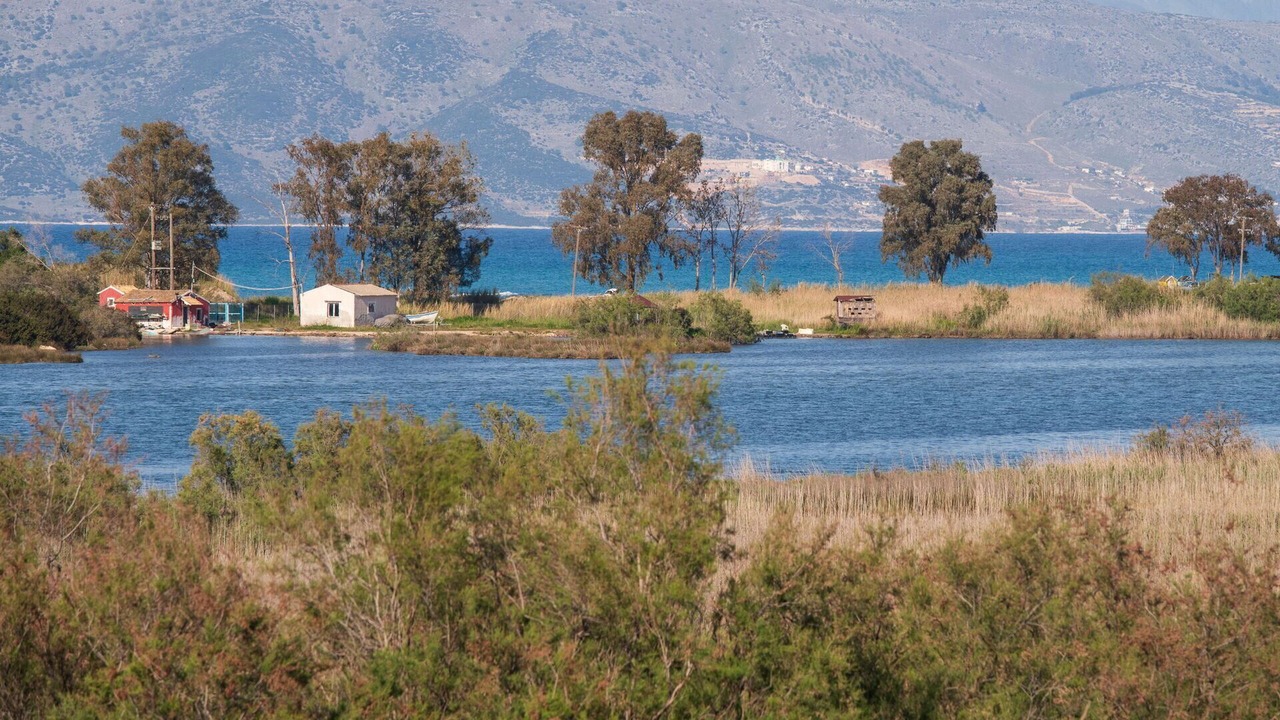 Photo of Others in Petaleia