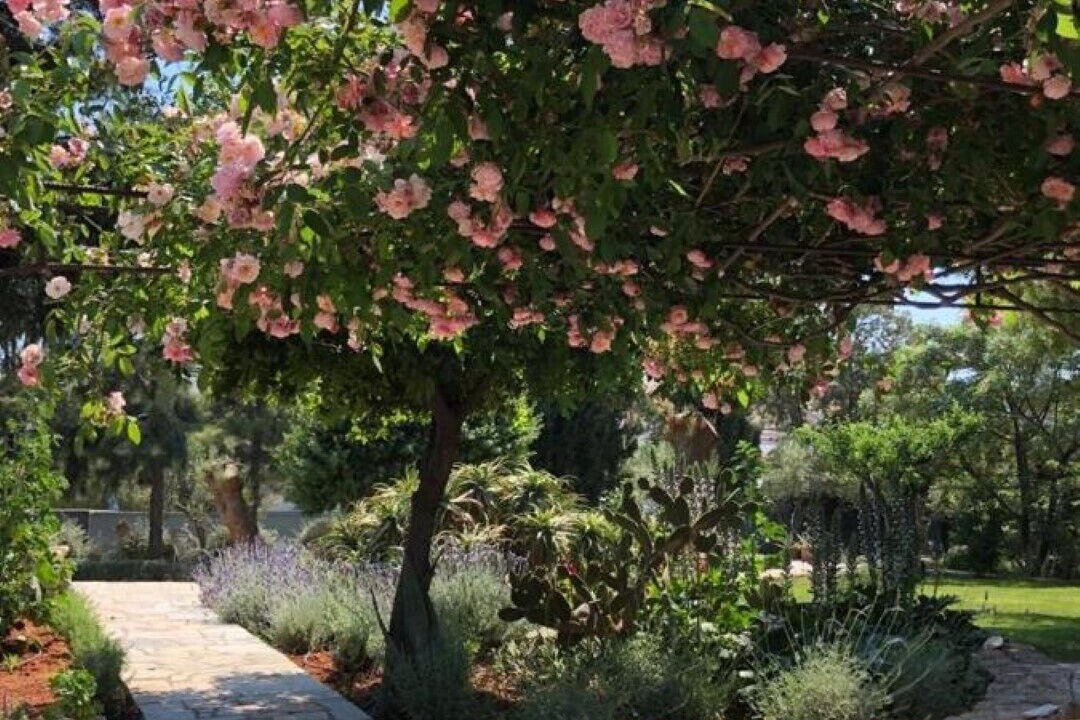 Photo of Outdoor in Porto Rafti