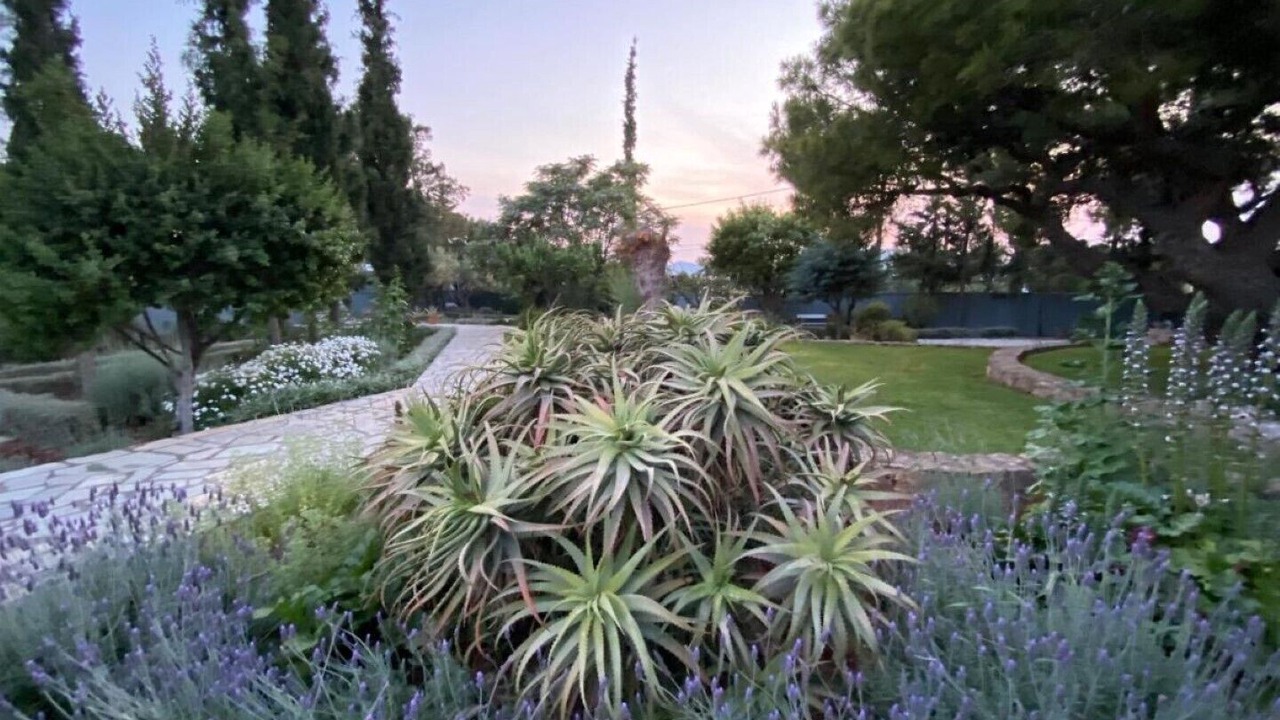 Photo of Outdoor in Porto Rafti