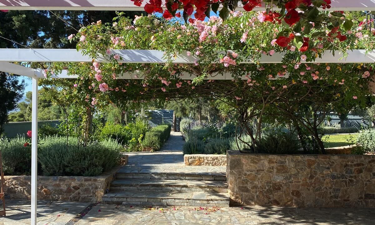 Photo of Outdoor in Porto Rafti