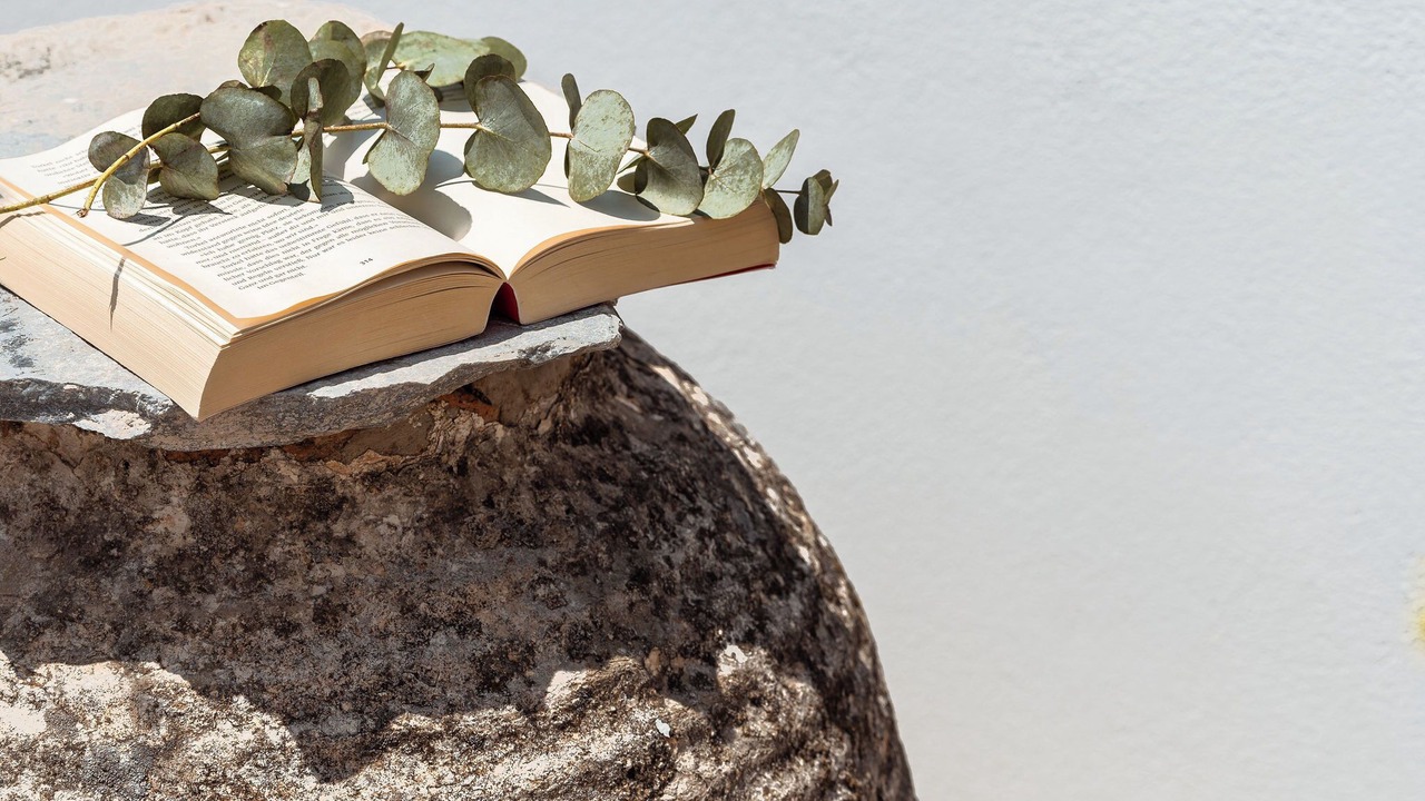 Photo of Others in Naxos