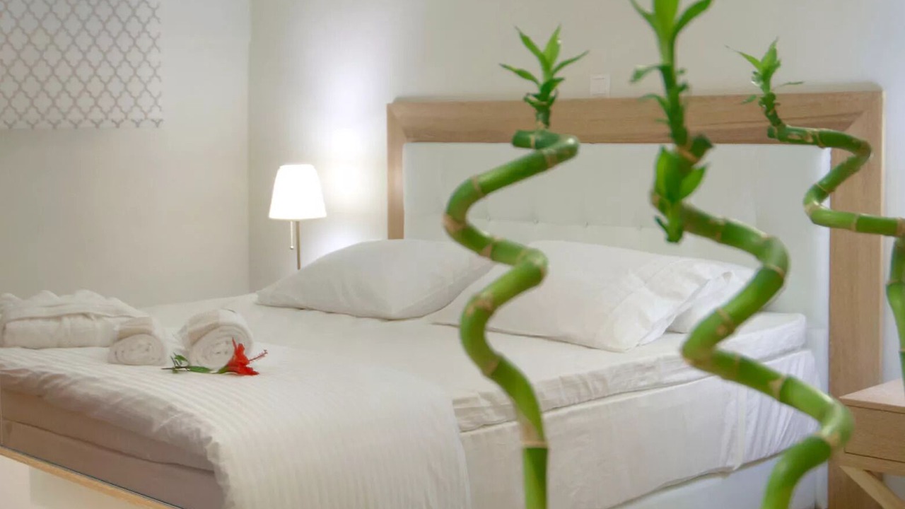 Photo of Bedroom in Astros