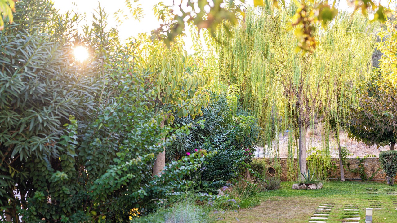 Photo of Outdoor in Gialos