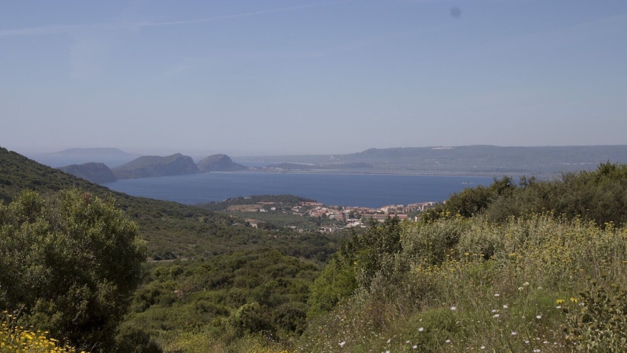 Photo of Others in Methoni