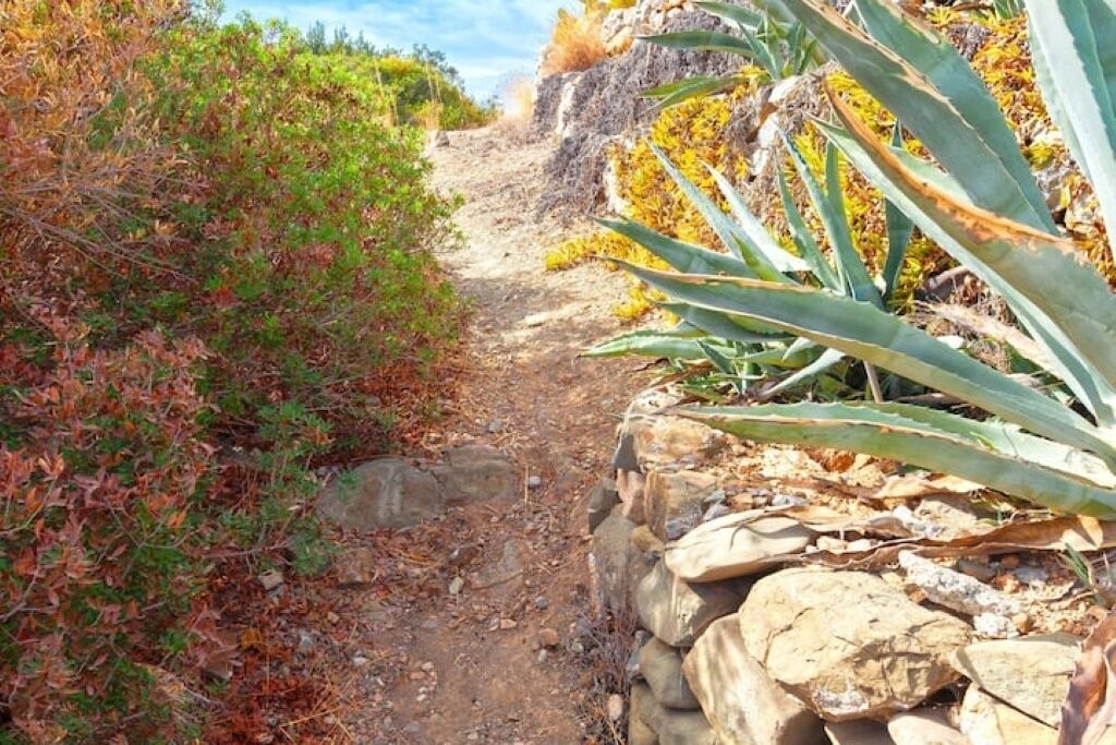 Photo of Outdoor in Kiotari
