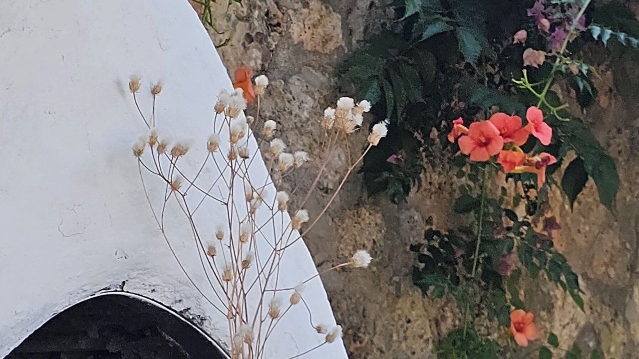 Photo of Outdoor in Egira