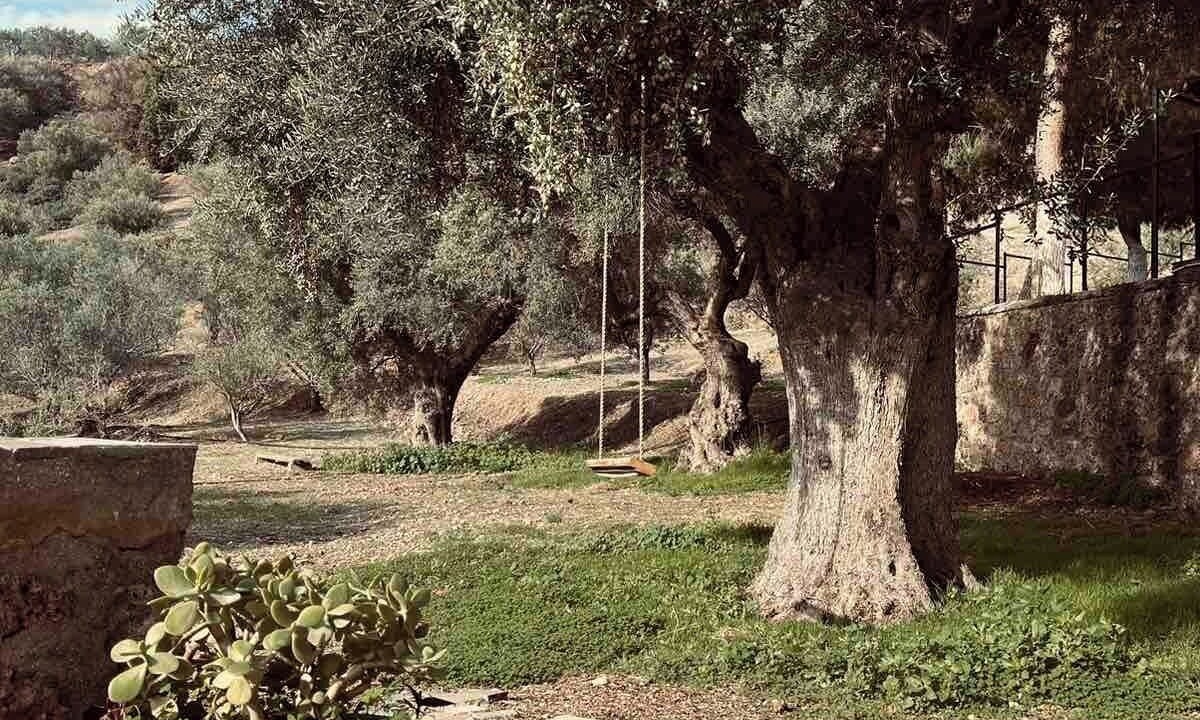 Photo of Outdoor in Egira