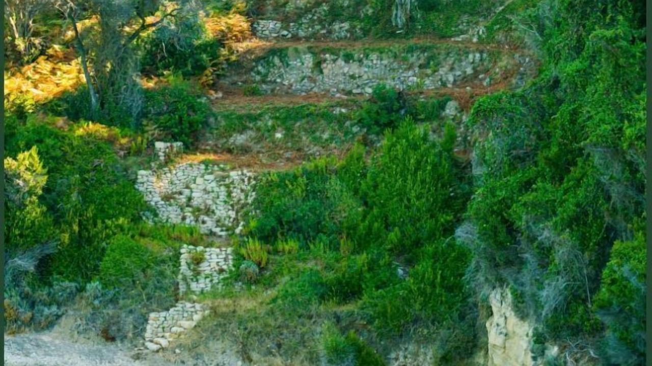 Photo of Outdoor in Agios Gordios