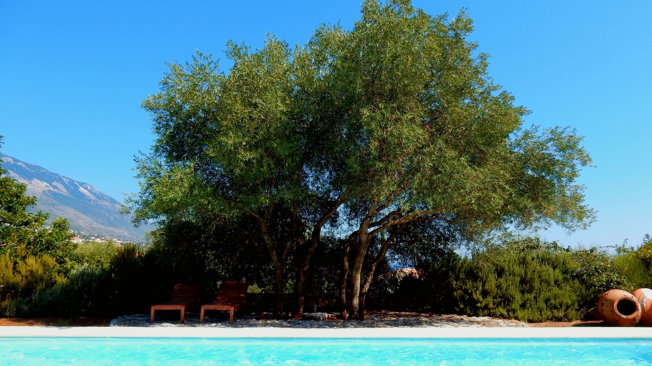 Photo of Outdoor in Karavados