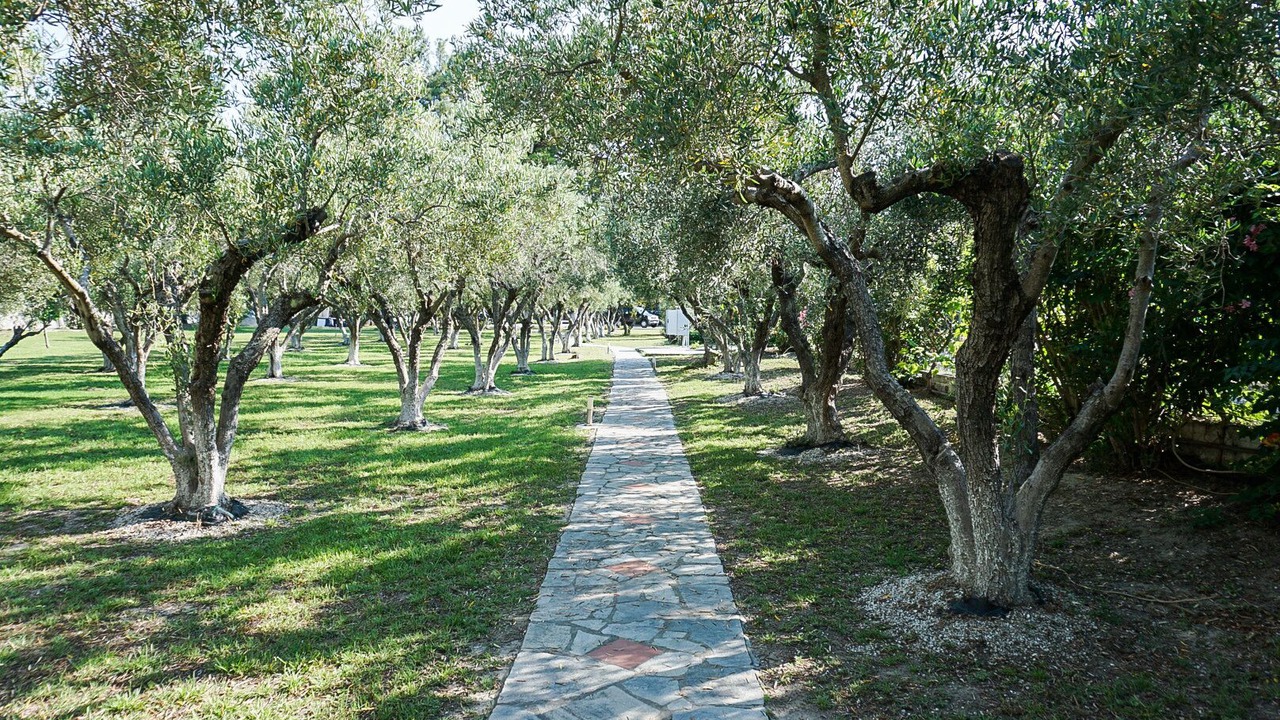Photo of Outdoor in Haniotis