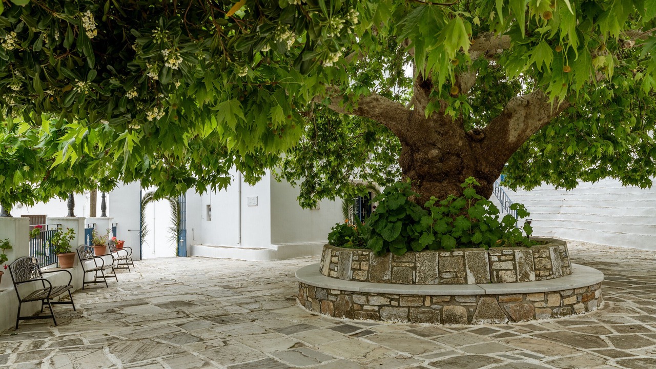 Photo of Outdoor in Koronos