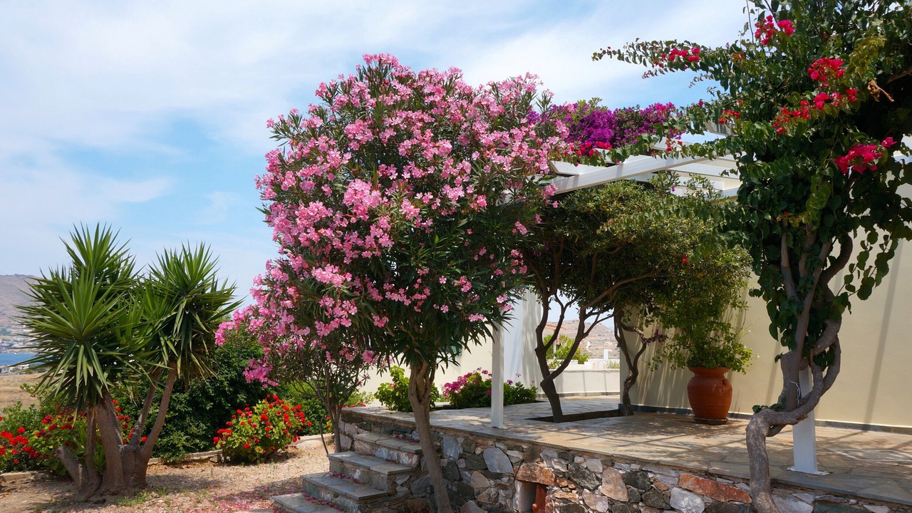 Photo of Outdoor in Posidonia