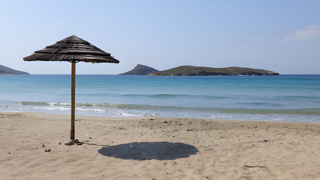 Photo of Others in Posidonia