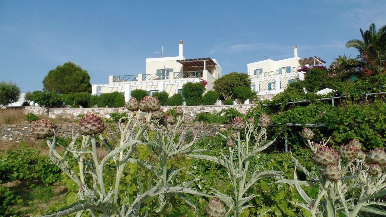 Photo of Outdoor in Posidonia