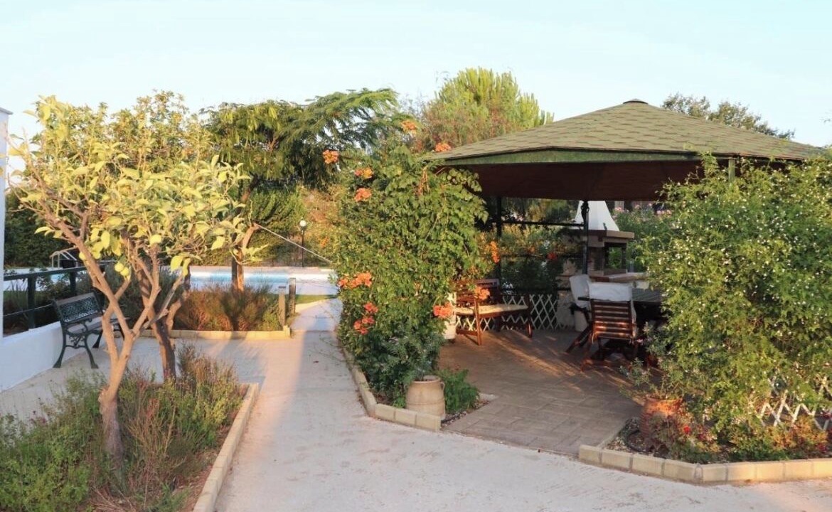 Photo of Outdoor in Markopoulon