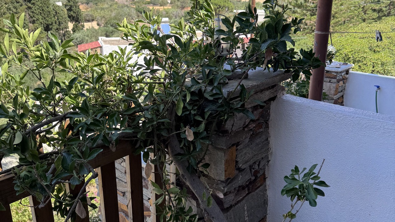 Photo of Outdoor in Pisses
