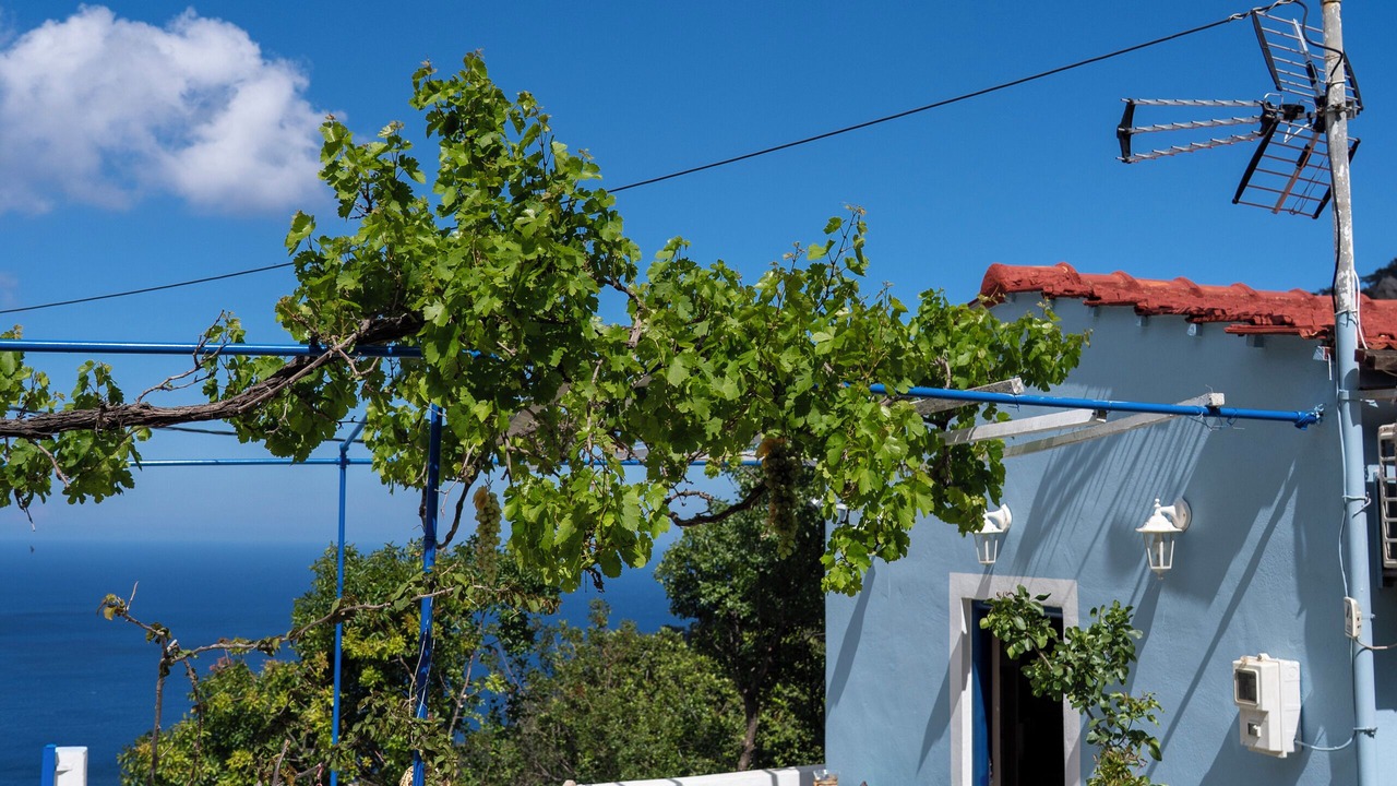 Photo of Outdoor in Aperio