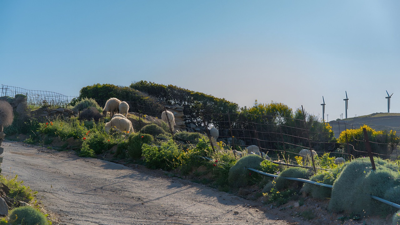 Photo of Others in Andros