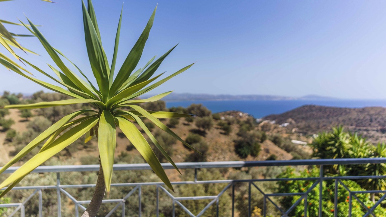 Photo of Outdoor in Agia Galini