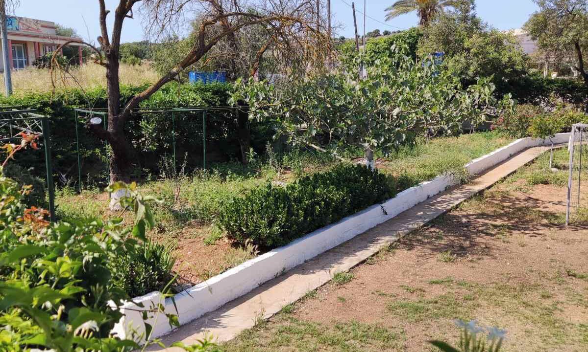 Photo of Outdoor in Papastavraiika
