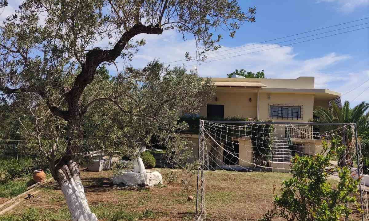 Photo of Outdoor in Papastavraiika