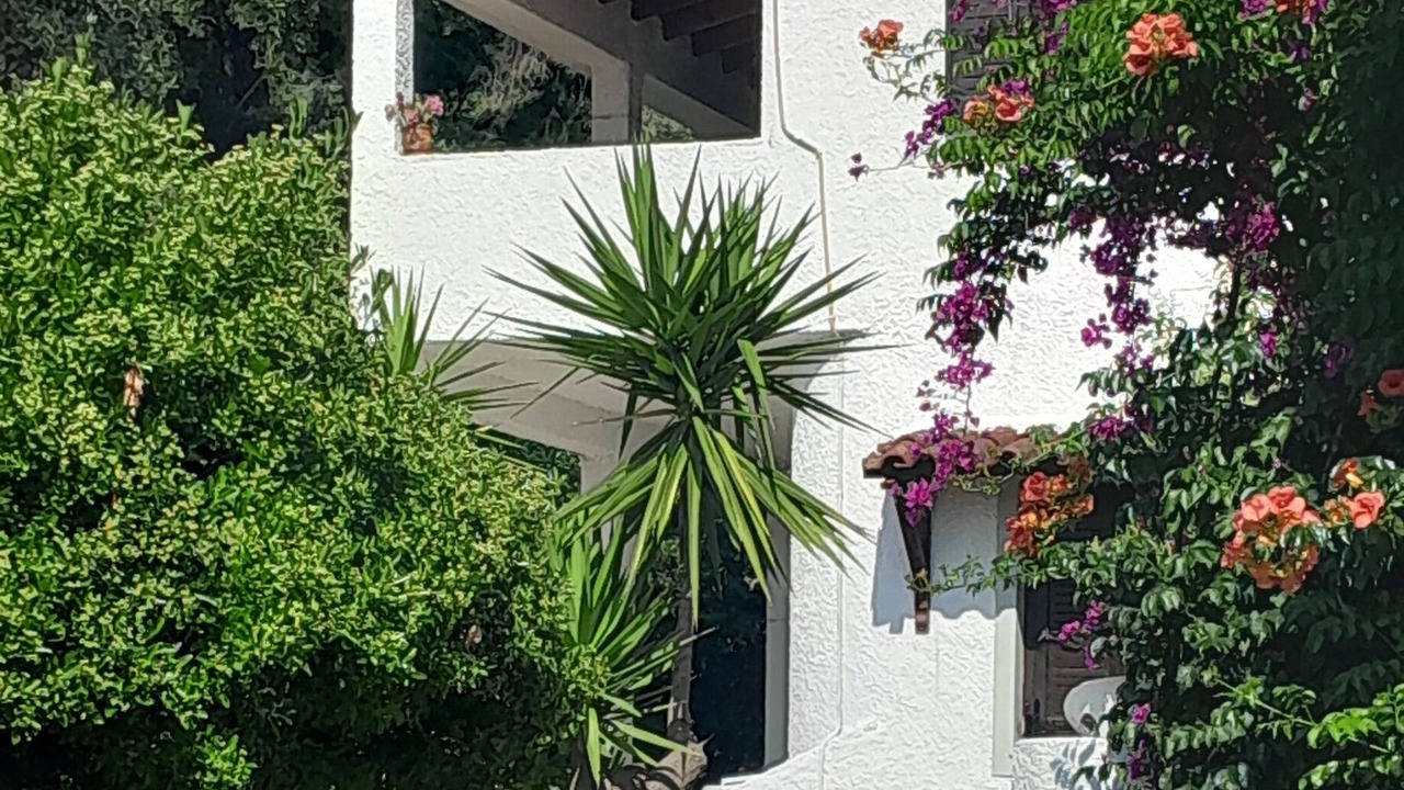 Photo of Outdoor in Katsarou