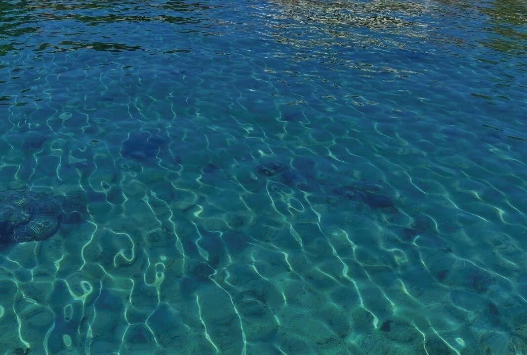Photo of Others in Halkidiki